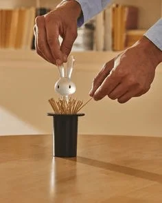 Toothpick speaker cleaner